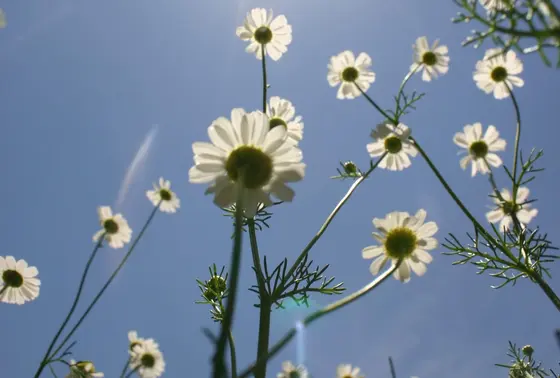閲覧ありがとうございました✨