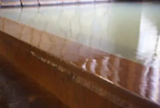 レアな泉質！正苦味泉がやばい！