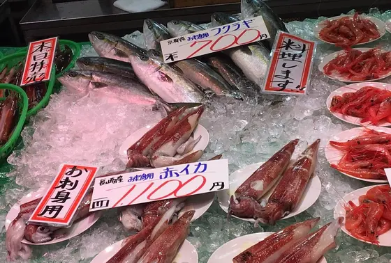 お魚だって