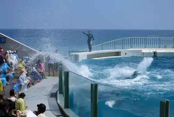 夏はびしょ濡れゾーンも！