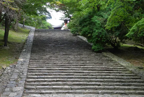 大仏殿横の石段