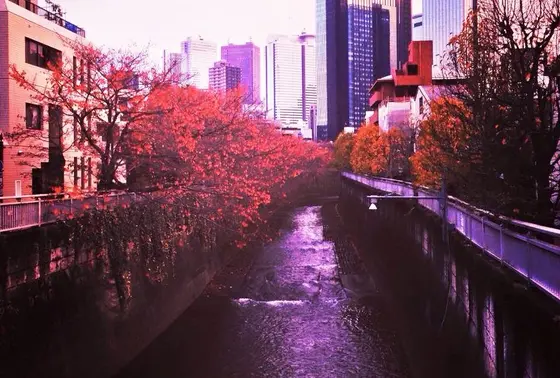 桃園川緑道