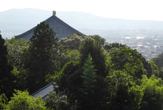 大仏殿の屋根が見えます