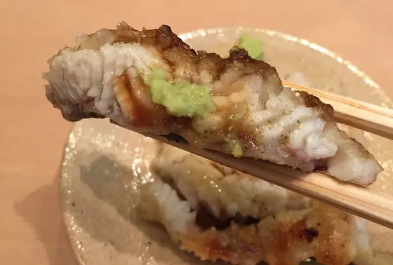 青鰻