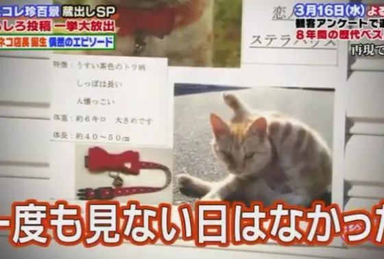 店長就任前に失踪！？