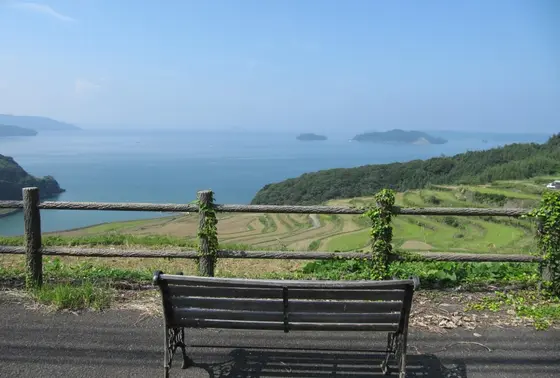 ベンチと棚田