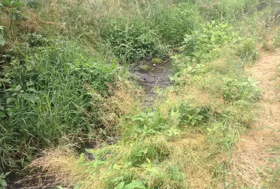 水が流れる