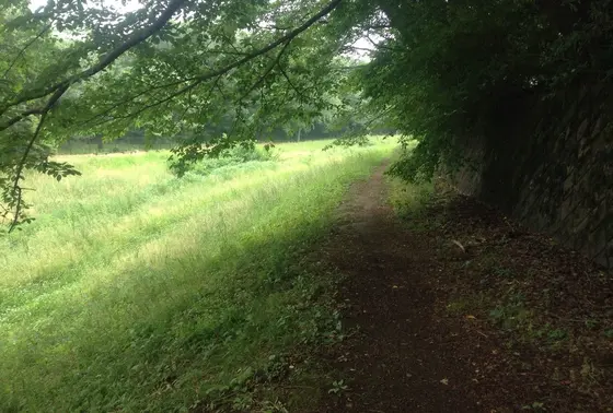 通路