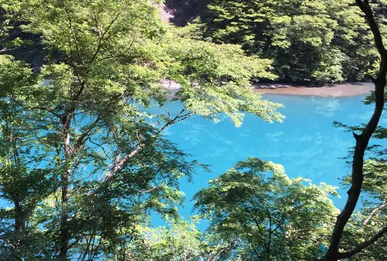 このブルー‼︎