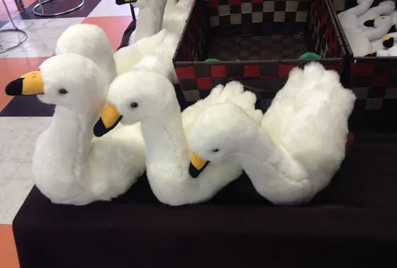 おみやげはコレ？