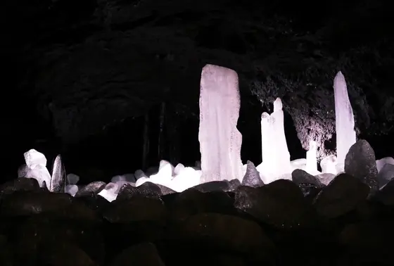 幻想的な氷柱❄️
