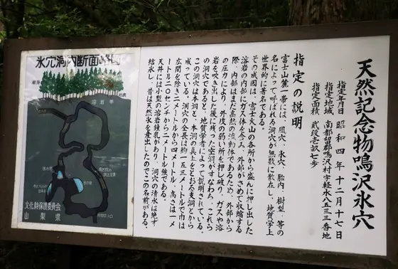 実は...