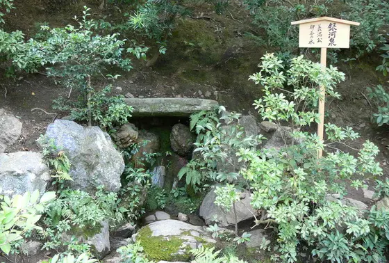 銀河泉