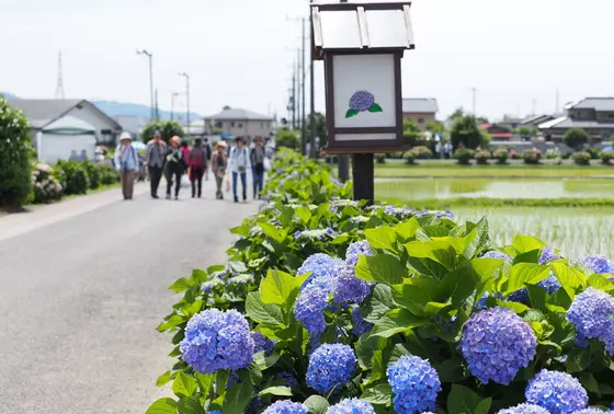 雨の日も安心