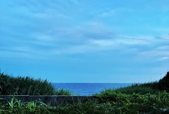 公園から見える海