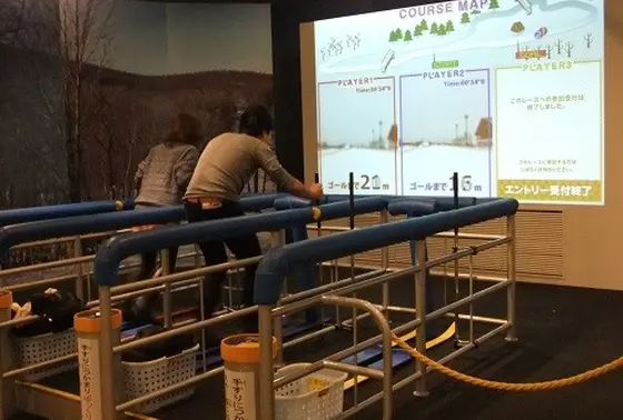 クロスカントリースキーレース