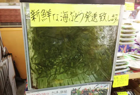 海ぶどう