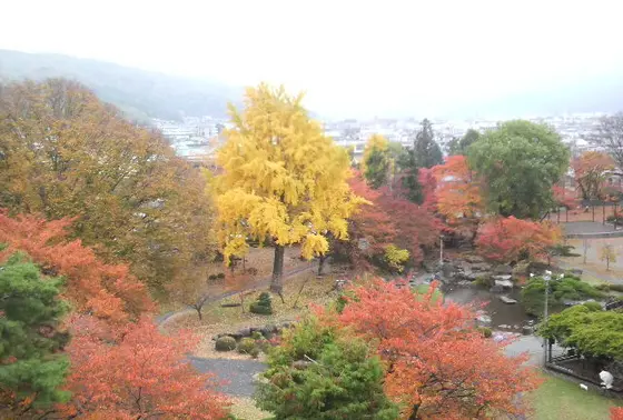 秋
