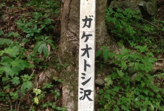 ガケオトシ沢