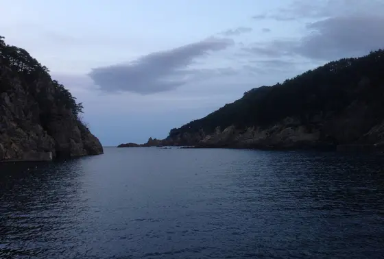 まさにリアス海岸ですね