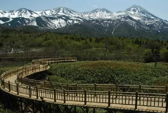 高架木道