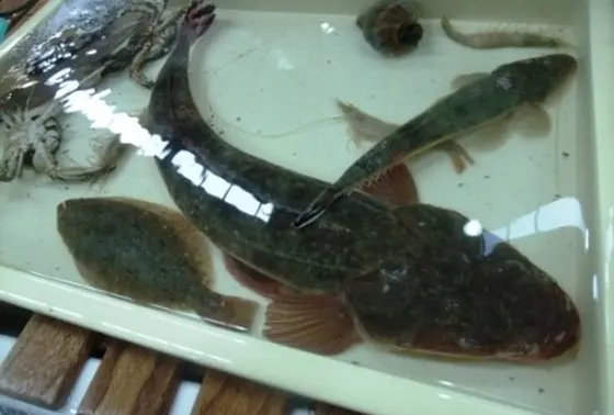 新鮮魚貝も目白押し～