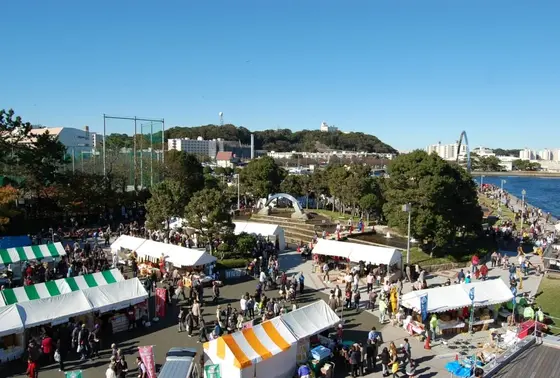 三笠公園を一望