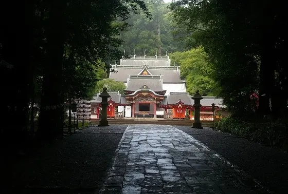 森を抜けて