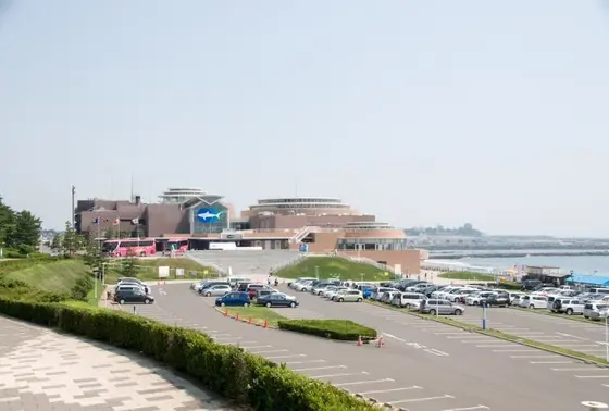 海辺の駐車場