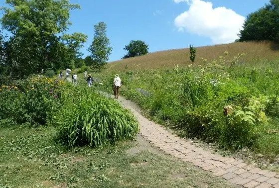 射的山