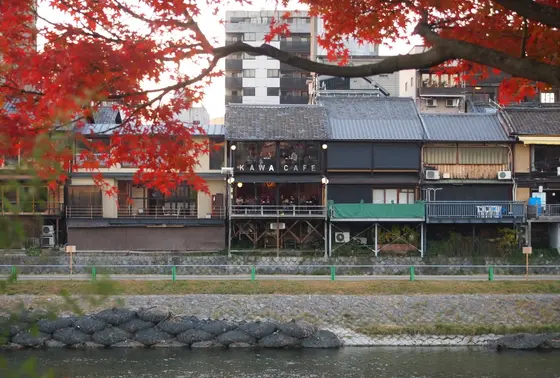 川の向かいから