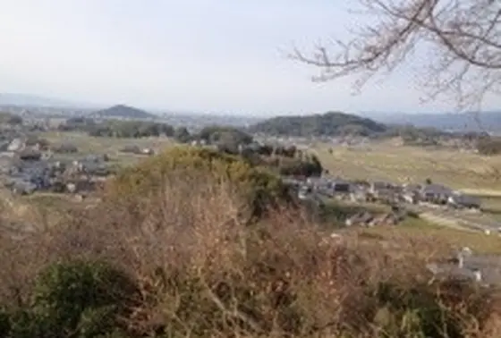 大和三山を望む