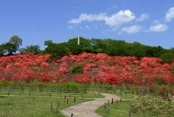 矢板市　名峰公園