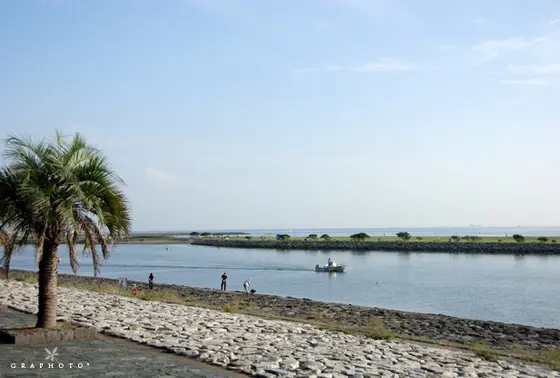海辺でお散歩