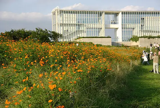 花を楽しむ
