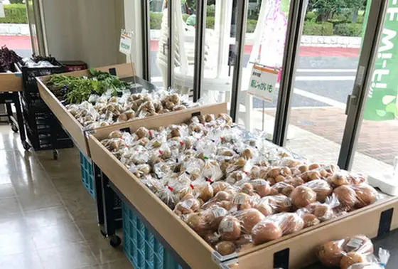 採れたて野菜