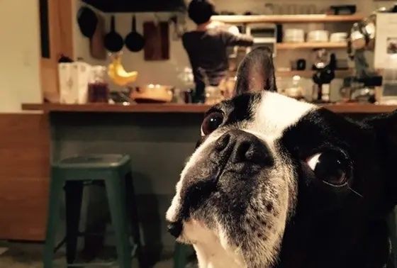 コーヒーセミナーを開催。