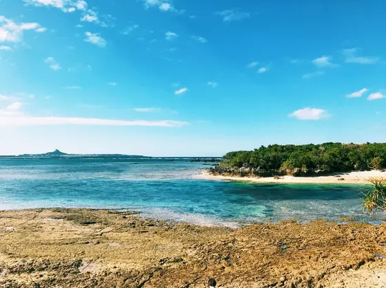 疲労も吹き飛ぶ景色…