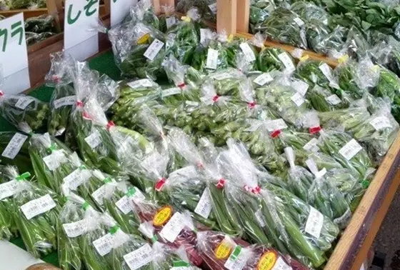 地元の新鮮野菜がいっぱいだ