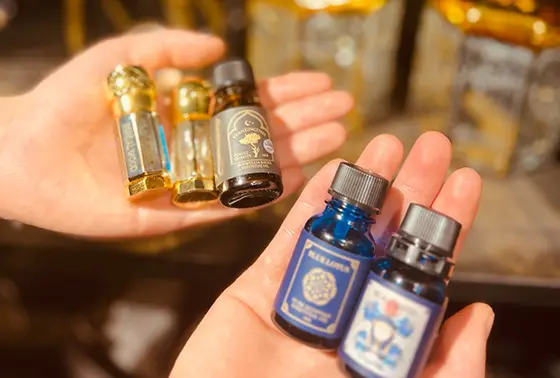 スポット内のおすすめ