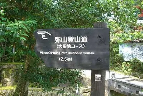 プチ登山🚶‍♂️