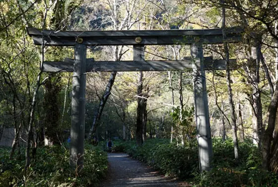 鳥居が突然現る。