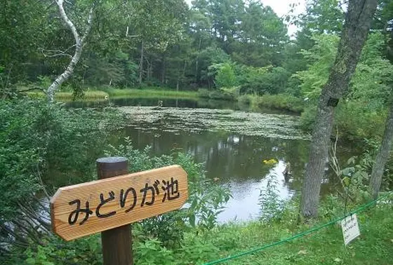 みどりが池
