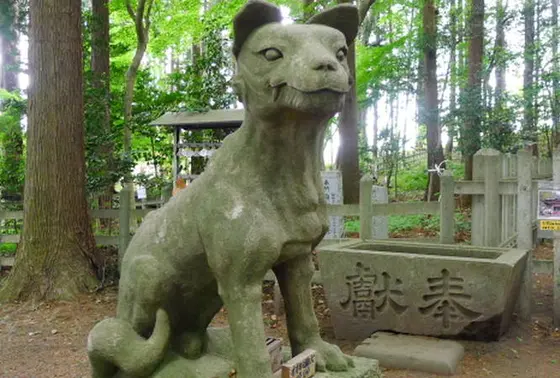 狛犬じゃなくて狛狼