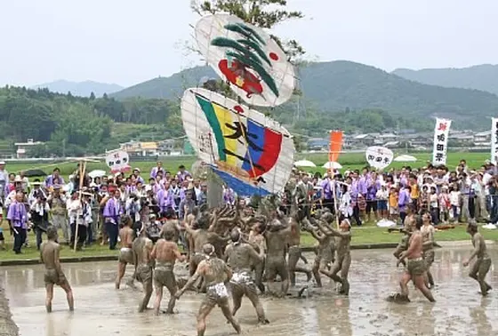 6月24日の御田植式