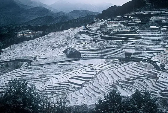 冬の丸山千枚田