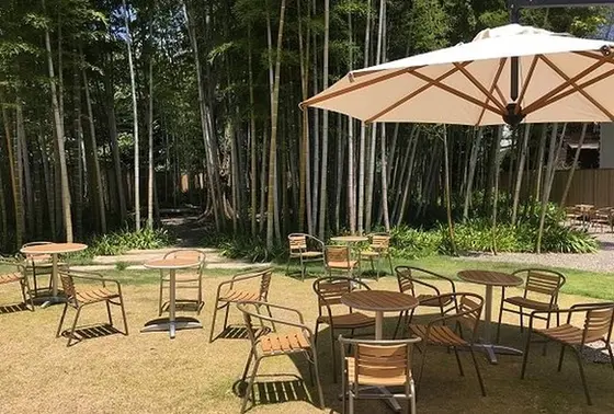 テラス席🌲