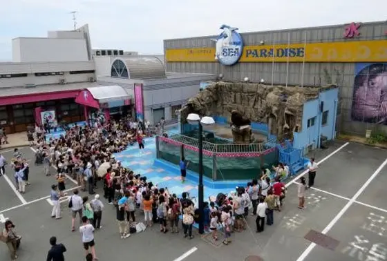 水族館前のトドの水槽