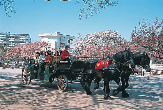 馬車の試乗会風景