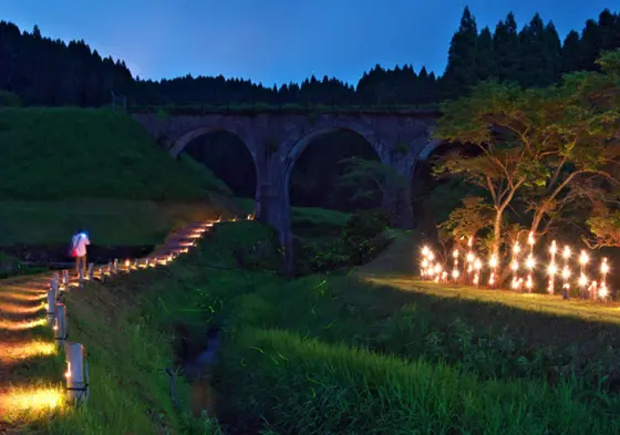 ほたる(6月上旬〜)